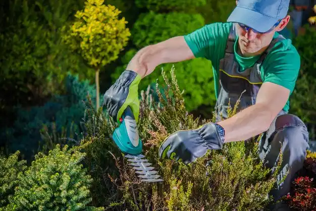 landscaping services Barnhart